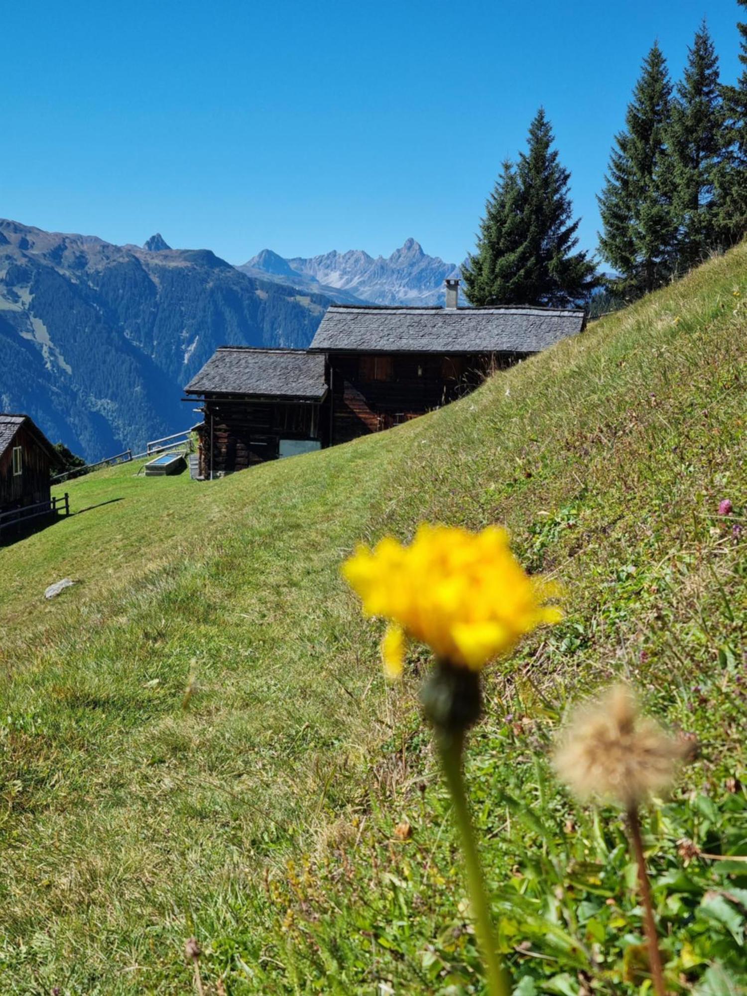 Chalet 14 Sankt Gallenkirch Buitenkant foto